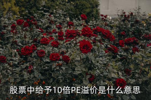 股票10倍市盈率什么意思，買(mǎi)10倍市盈率上下的大盤(pán)股什么意思