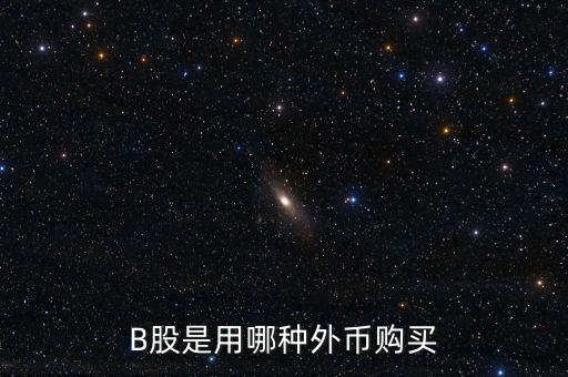 b股分紅支付什么貨幣，B股是用哪種外幣購買