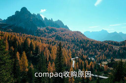 泰一指尚為什么被收購(gòu)，compaq收購(gòu)原因