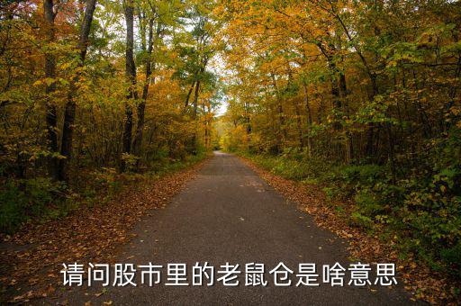 股市老鼠倉(cāng)什么意思，股票 老鼠倉(cāng)是什么意思