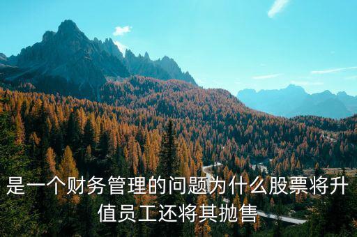 為什么要拋售股票，是一個(gè)財(cái)務(wù)管理的問(wèn)題為什么股票將升值員工還將其拋售