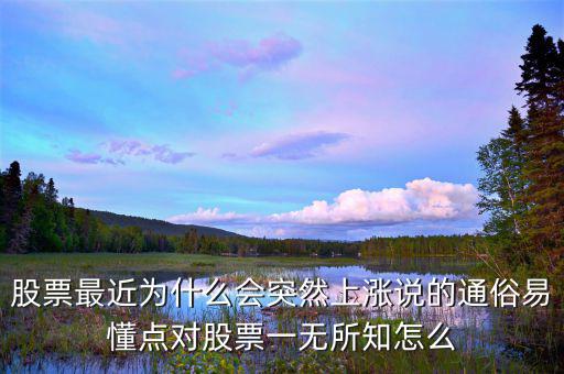 股票最近為什么會(huì)突然上漲說的通俗易懂點(diǎn)對(duì)股票一無(wú)所知怎么