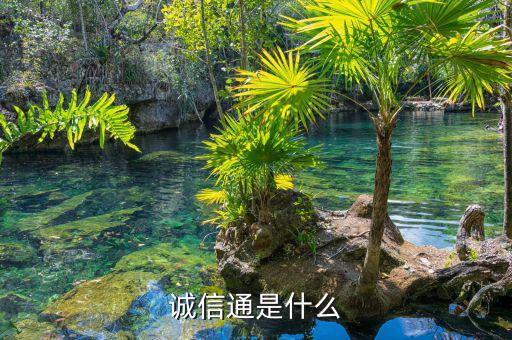 e錢包是什么，Epay 是什么意識