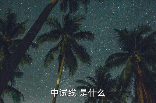 中試線是什么意思，中試線 是什么