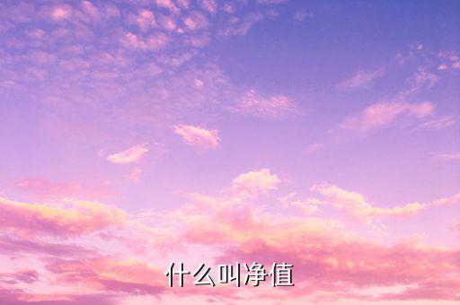 什么是凈值類理財(cái)產(chǎn)品，凈值型理財(cái)產(chǎn)品是什么意思
