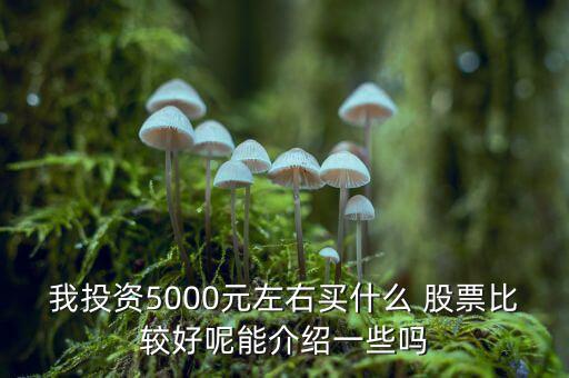 我投資5000元左右買(mǎi)什么 股票比較好呢能介紹一些嗎