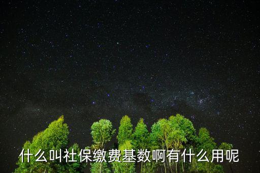 社保繳費(fèi)基數(shù)有什么用，什么叫社保繳費(fèi)基數(shù)啊有什么用呢