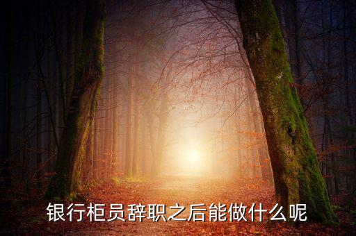 銀行辭職后做什么，銀行柜員辭職之后能做什么呢