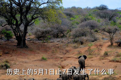 史上5月1日發(fā)生了什么，歷史上的5月1日止7日發(fā)生了什么事