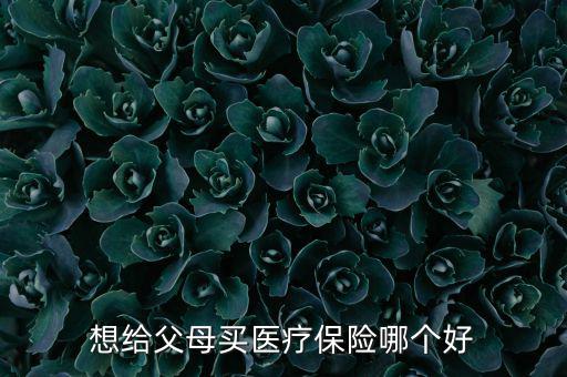 給父母買什么醫(yī)療保險(xiǎn)好，想給父母買醫(yī)療保險(xiǎn)哪個(gè)好