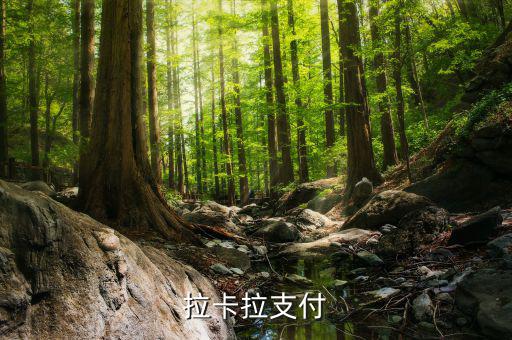 拉卡拉便利支付是什么，什么是銀聯(lián)拉卡啦支付