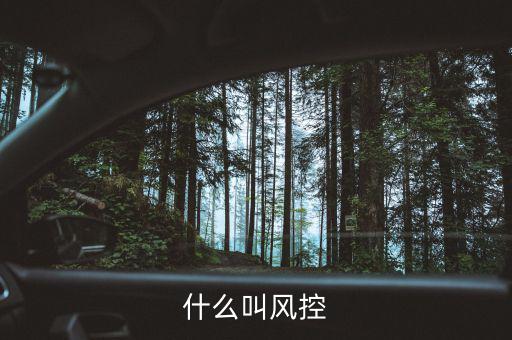 易到風(fēng)控什么意思，什么叫風(fēng)控