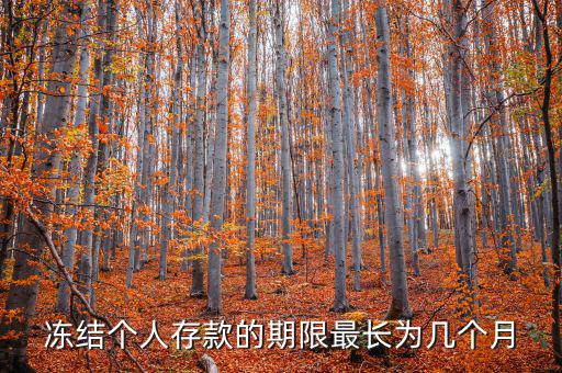 凍結(jié)個人存款的期限最長為幾個月