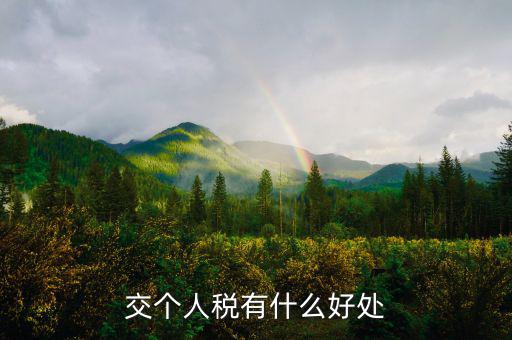 個(gè)人納稅有什么好處，交個(gè)人稅有什么好處
