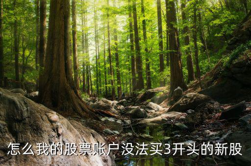 3開頭的股票為什么不能買，請(qǐng)問新開戶的股民為什么不能買3字開頭的股票