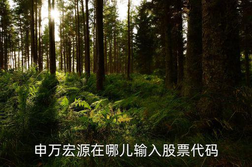 申萬(wàn)宏源為什么用字母查不到股票，申萬(wàn)宏源在哪兒輸入股票代碼