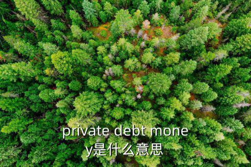 私人配售什么意思，private debt placement是什么意思啊