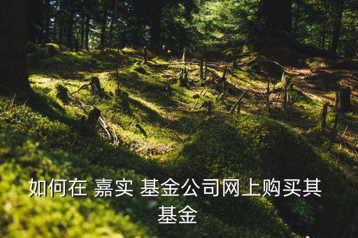 如何在 嘉實(shí) 基金公司網(wǎng)上購(gòu)買其 基金