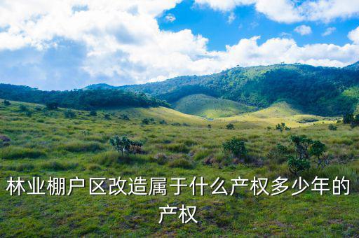 什么是林業(yè)棚戶區(qū)，請問蛟河林業(yè)棚戶區(qū)建造的樓房為什么收取物業(yè)費(fèi)會和取暖費(fèi)捆綁在一