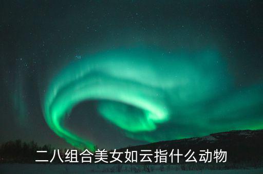 二八組合是什么意思，二八是什么意思