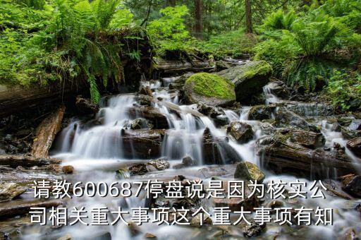 請教600687停盤說是因為核實公司相關重大事項這個重大事項有知