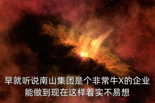 南山集團(tuán)對(duì)南山村的作用有什么，南山村的介紹