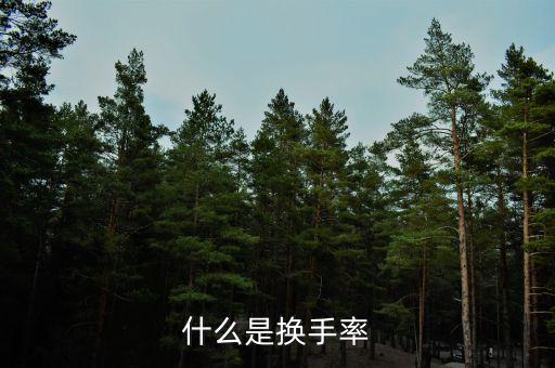 換手率說明什么，什么是換手率