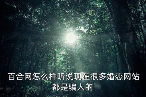  百合網怎么樣聽說現在很多婚戀網站都是騙人的