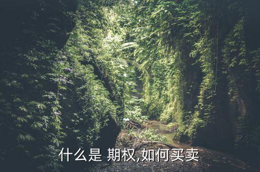 什么是 期權(quán),如何買(mǎi)賣(mài)