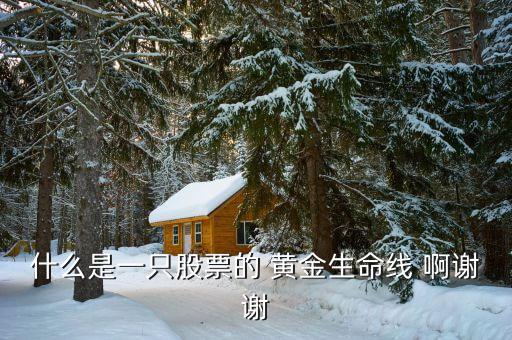 什么是股市生命線，什么是一只股票的 黃金生命線 啊謝謝