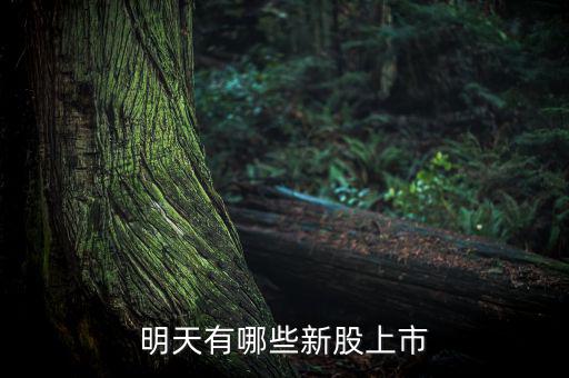 明天什么股票上市，明天有哪些新股上市