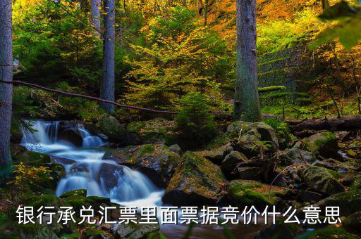 票據(jù)網(wǎng)交易是什么意思，中國票據(jù)網(wǎng)httpwwwzgpjwcom中的票據(jù)轉(zhuǎn)貼直貼買入直貼賣出