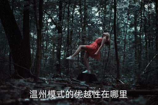 溫州模式為什么具有很強的經(jīng)濟性，溫州模式取得成功的原因6分題