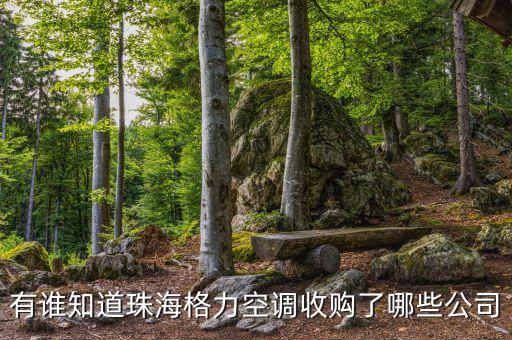 格力收購什么，有誰知道珠海格力空調(diào)收購了哪些公司