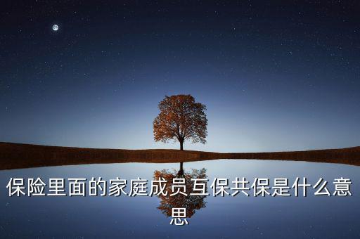 什么是共同被保險(xiǎn)人，保險(xiǎn)里面的家庭成員互保共保是什么意思