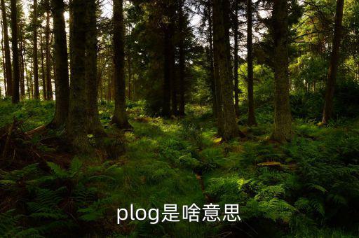 airbnb是什么意思，booking是什么意思