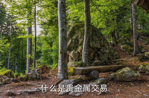 貴金屬交易是什么，什么是貴金屬交易