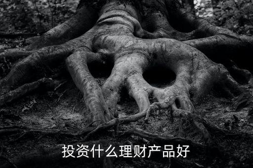 投資什么理財產品好