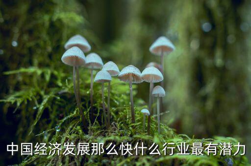 未來(lái)中國(guó)經(jīng)濟(jì)什么行業(yè)可以，中國(guó)經(jīng)濟(jì)發(fā)展那么快什么行業(yè)最有潛力