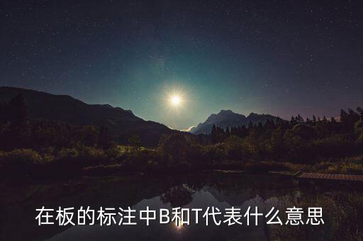 中小板b是什么意思，中小板指是什么意思
