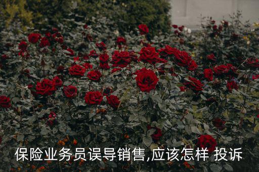 怎么投訴原生態(tài)銷售員,房地產銷售技巧:先傾聽再了解客戶想法