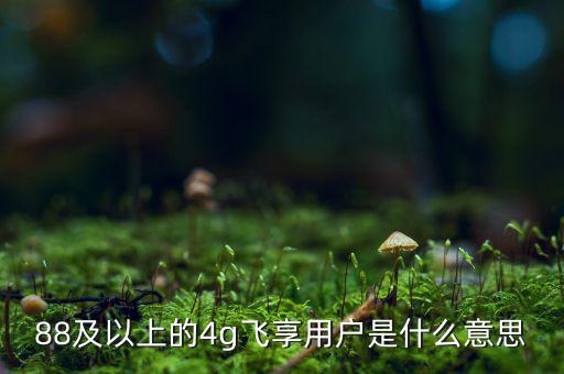 4g用戶是什么意思，88及以上的4g飛享用戶是什么意思
