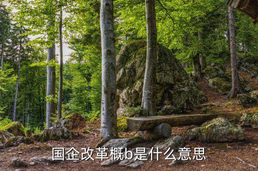 國(guó)企改b是什么，國(guó)企改革概b是什么意思