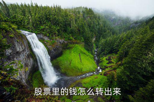  股票里的錢怎么轉出來