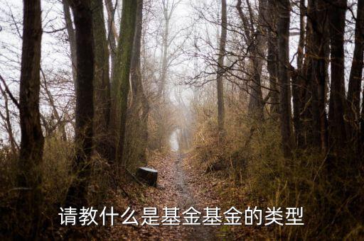 請(qǐng)教什么是基金基金的類(lèi)型