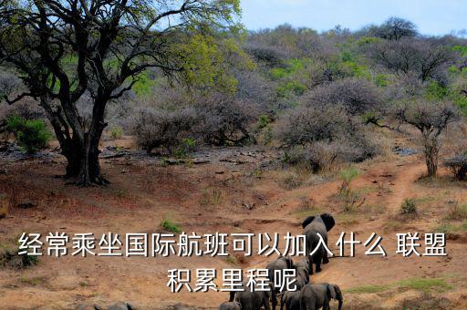 星空聯(lián)盟積分怎么算,南航、東航可通過明珠卡共享積分等