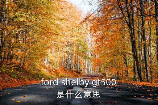 東盟油500是什么，ford shelby gt500是什么意思
