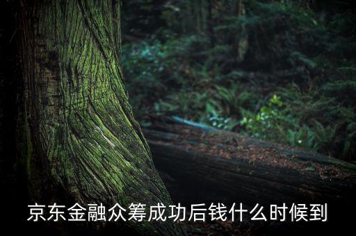 京東金融活動(dòng)什么時(shí)候結(jié)束，金條的活動(dòng)什么時(shí)候結(jié)束啊