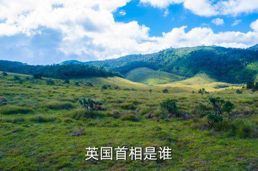 卡梅倫什么時候上任，英國首相是誰