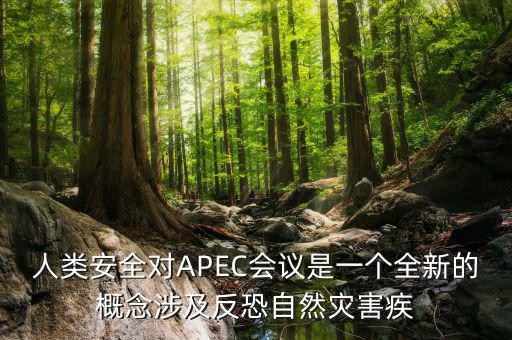 2014apec峰會簽署了什么文件，亞洲和太平洋地區(qū)經(jīng)濟合作會議簡稱 APEC